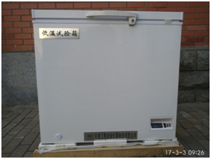 DWX—30\-40型低温试验箱